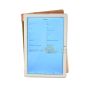 Планшет Blackview Tab 9 4/64Gb Gold 
