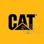 Смартфоны CAT