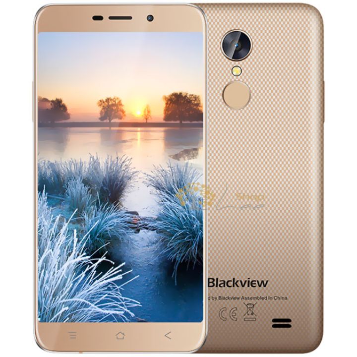 Blackview A10 (2+16Gb) Gold 